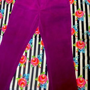 👖Ann Taylor Magenta Straight Cut Corduroy Pants 👖